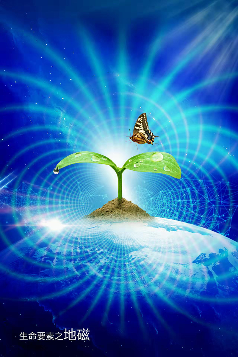 旋磁富氫水機(圖3)