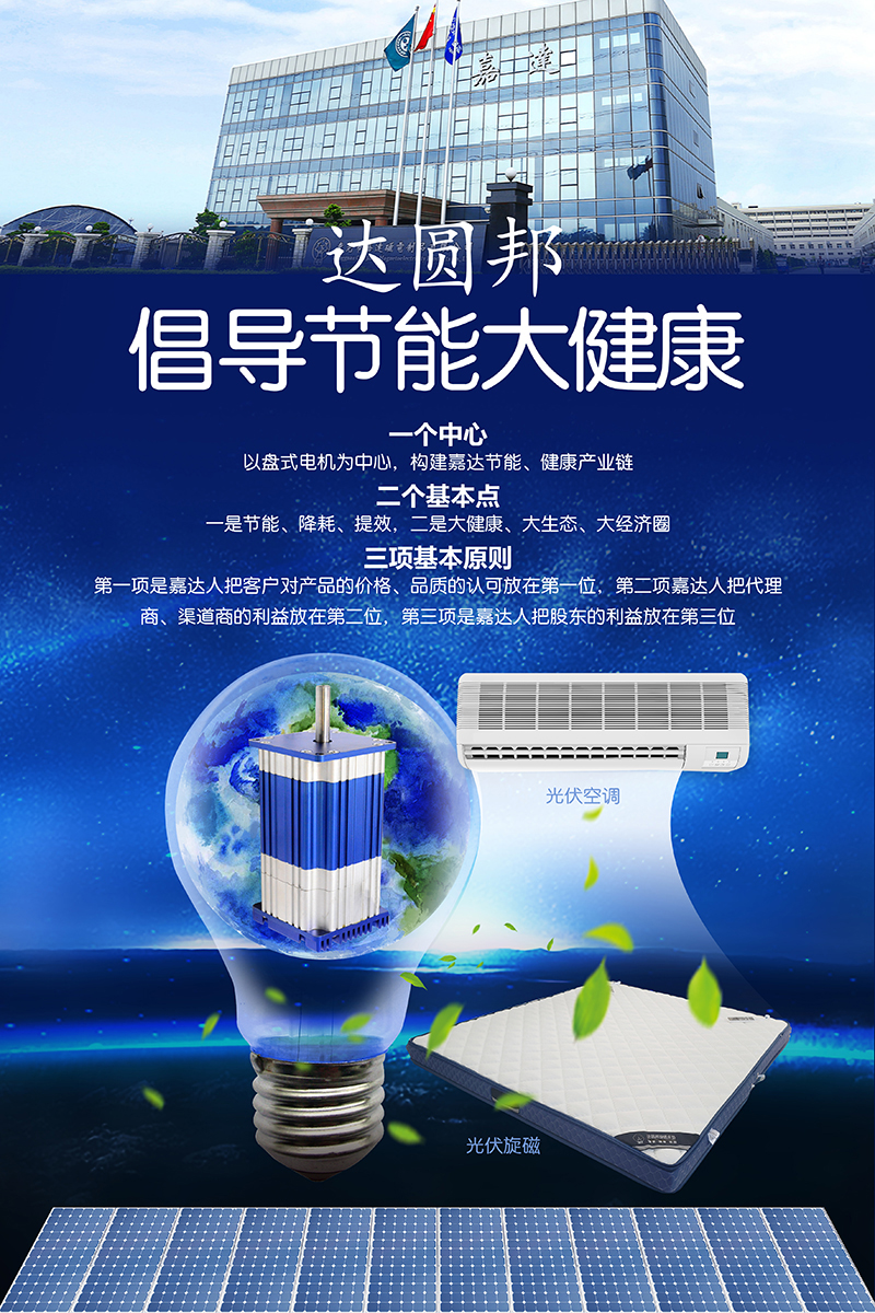 盤式光伏電機(圖2)