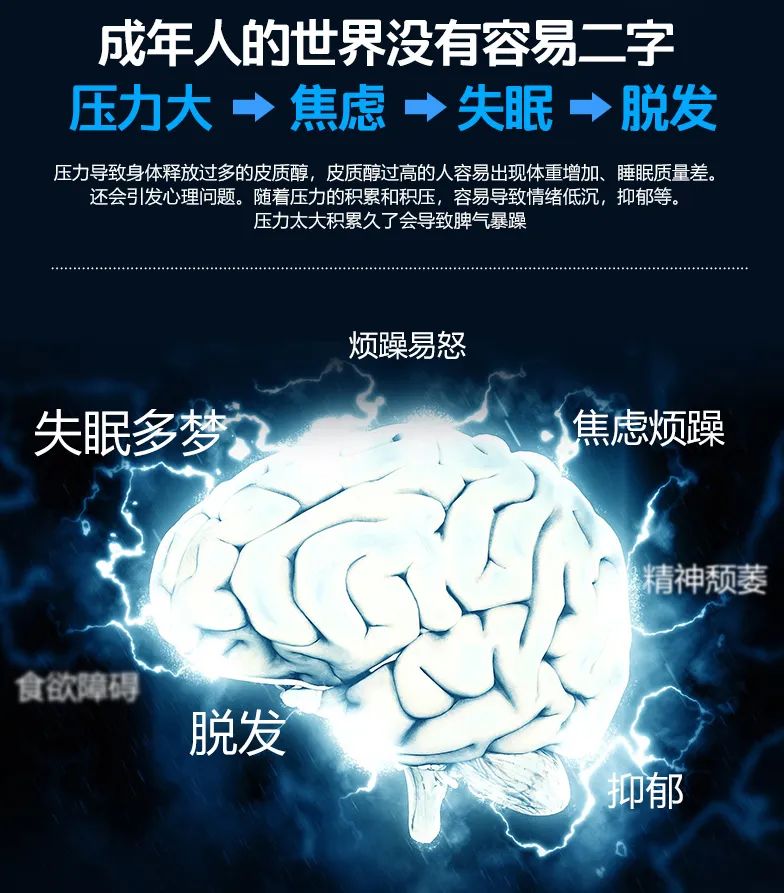 達圓邦能量代言帽(圖2)