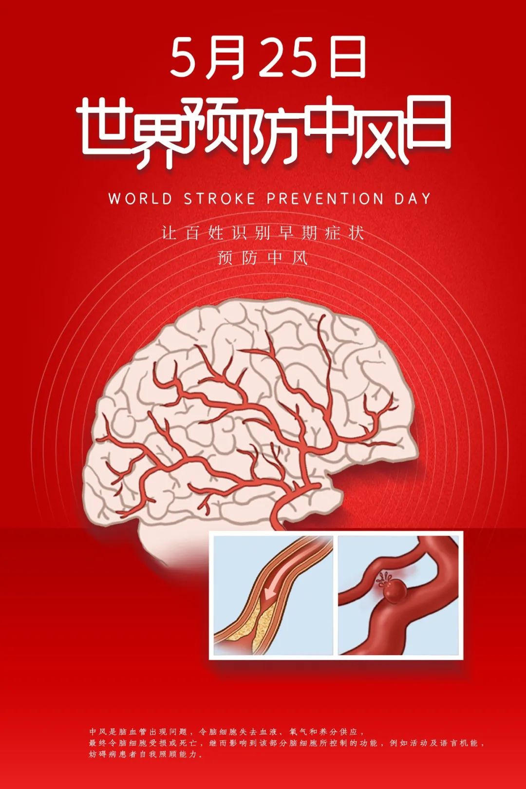 達圓邦能量代言帽(圖4)