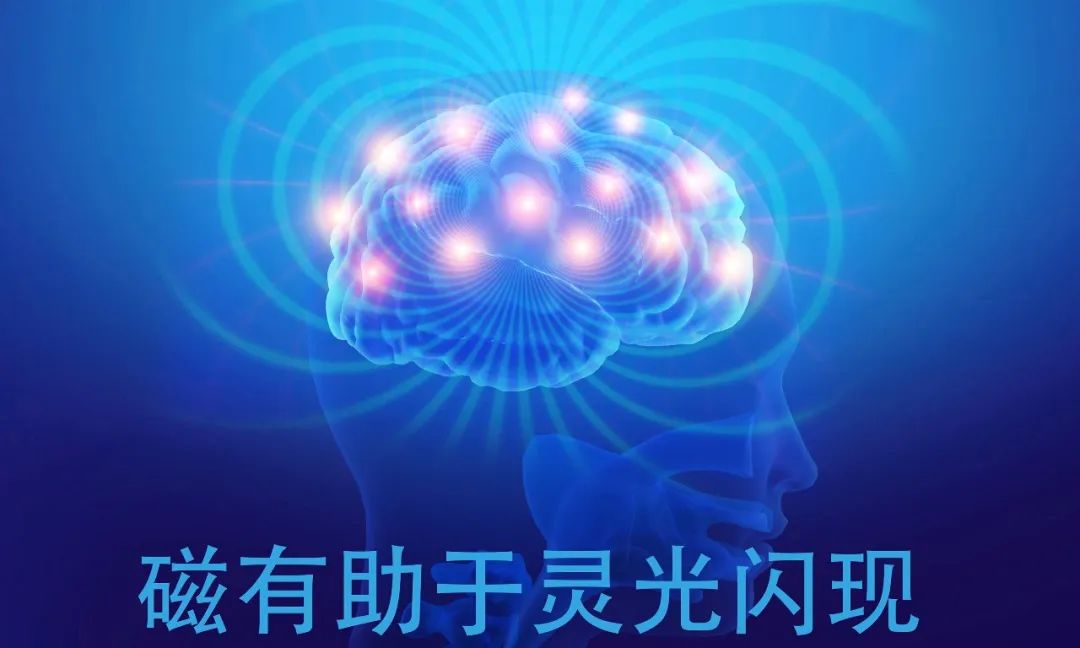 達圓邦能量代言帽(圖9)