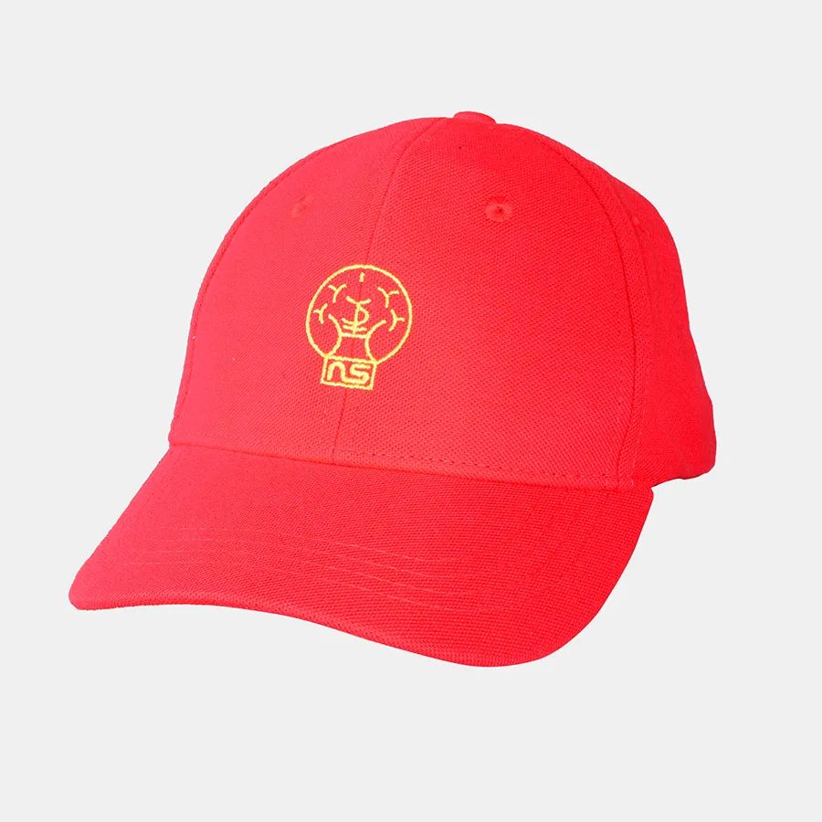 達圓邦能量代言帽(圖14)